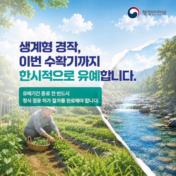 하천계곡_불법시설_정비기준_마련3.jpg 이미지