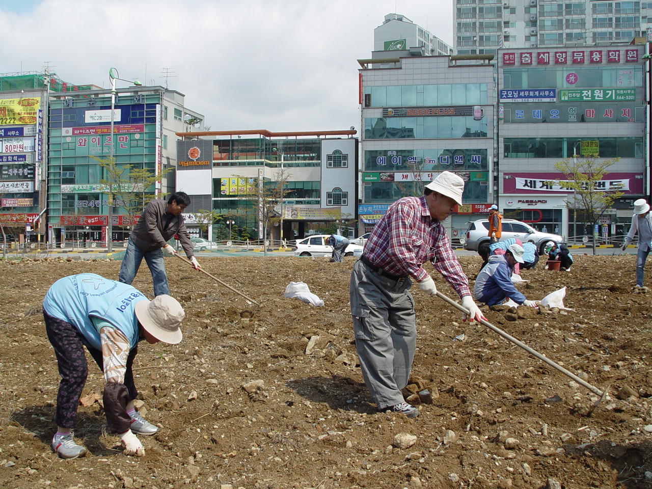 DSC01804.jpg 이미지