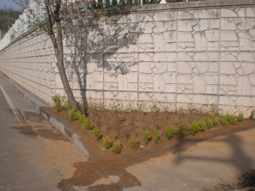 P4170106.jpg 이미지