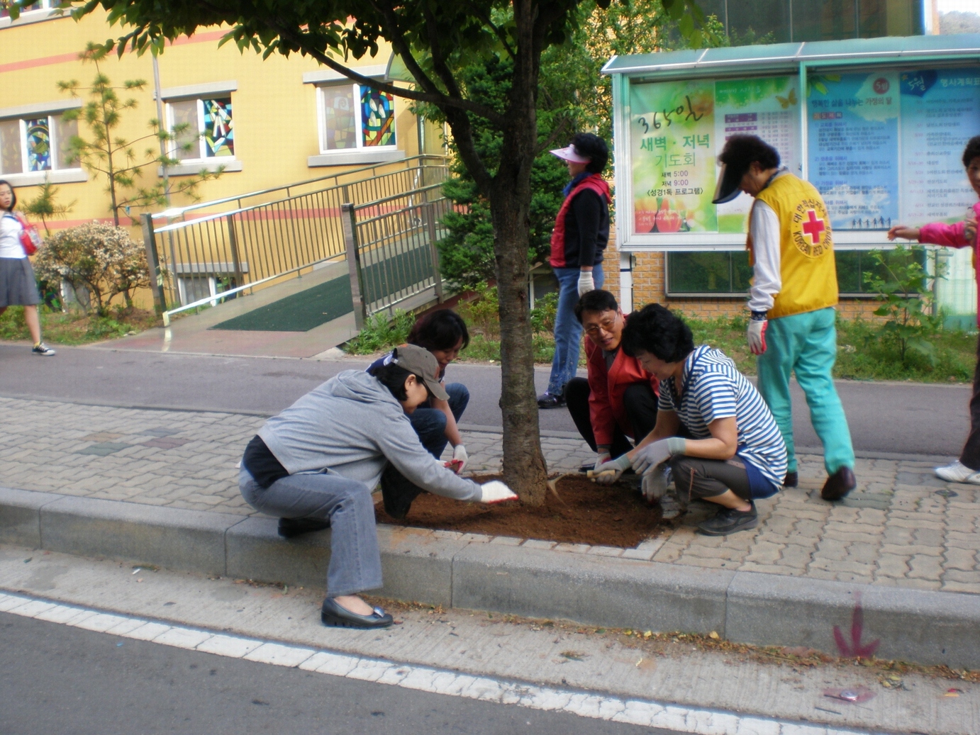 P6030009-2.jpg 이미지