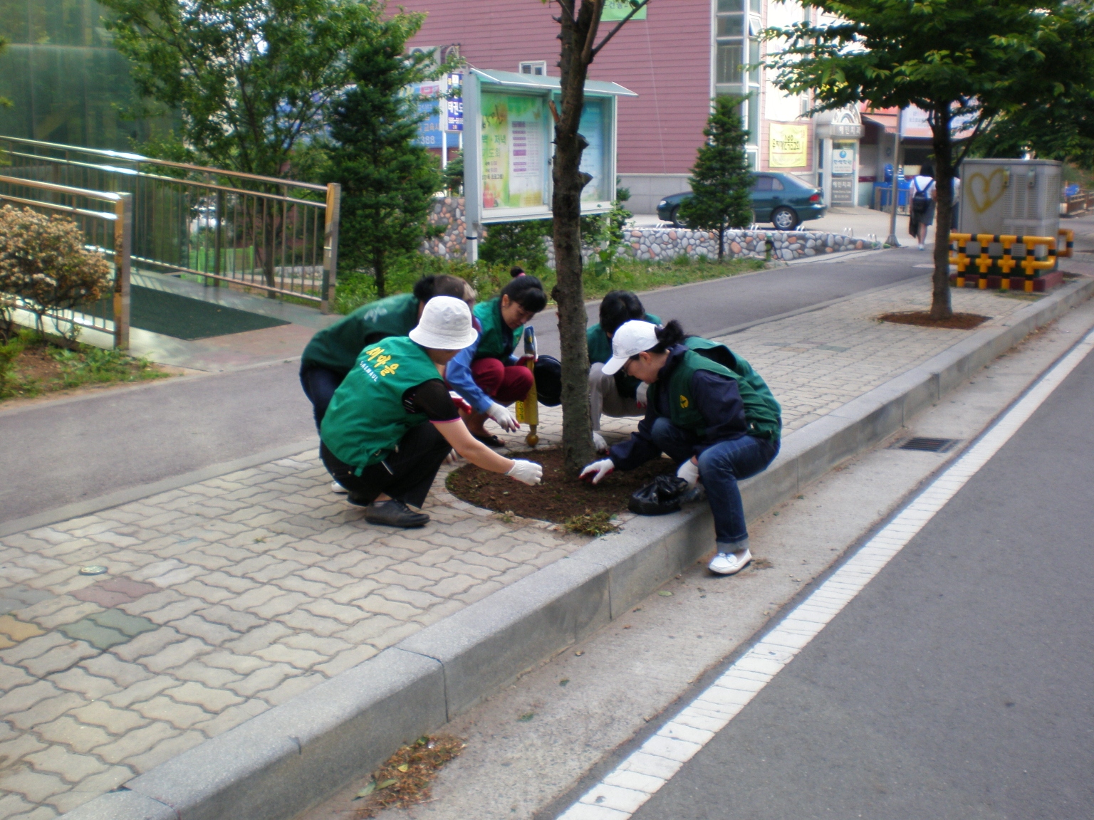 P6030010-2.jpg 이미지