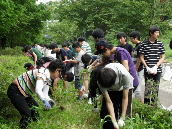 2문화의 거리.jpg 이미지