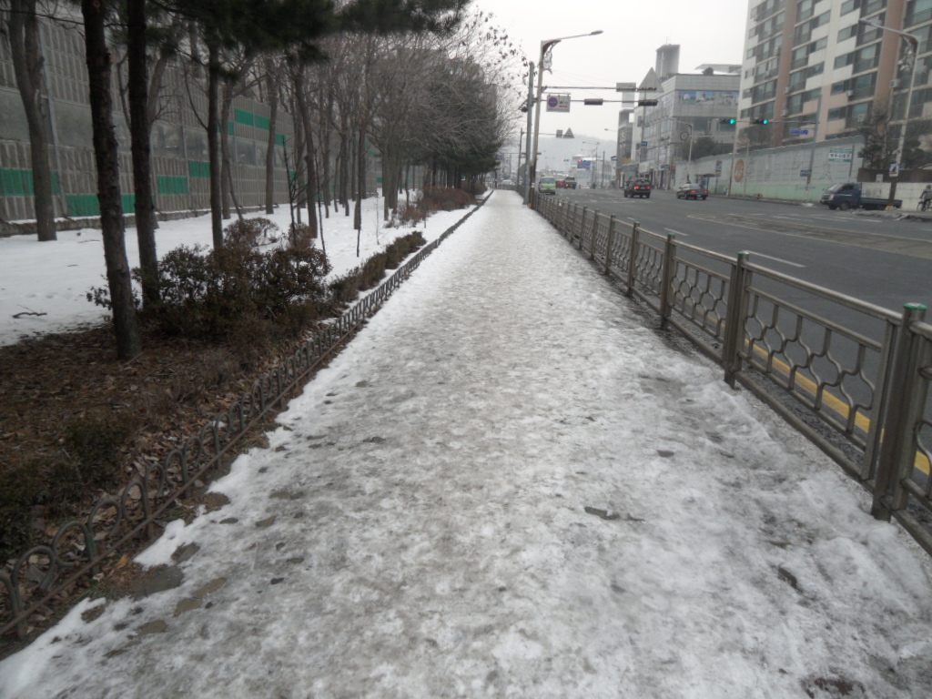 SDC17354.JPG 이미지