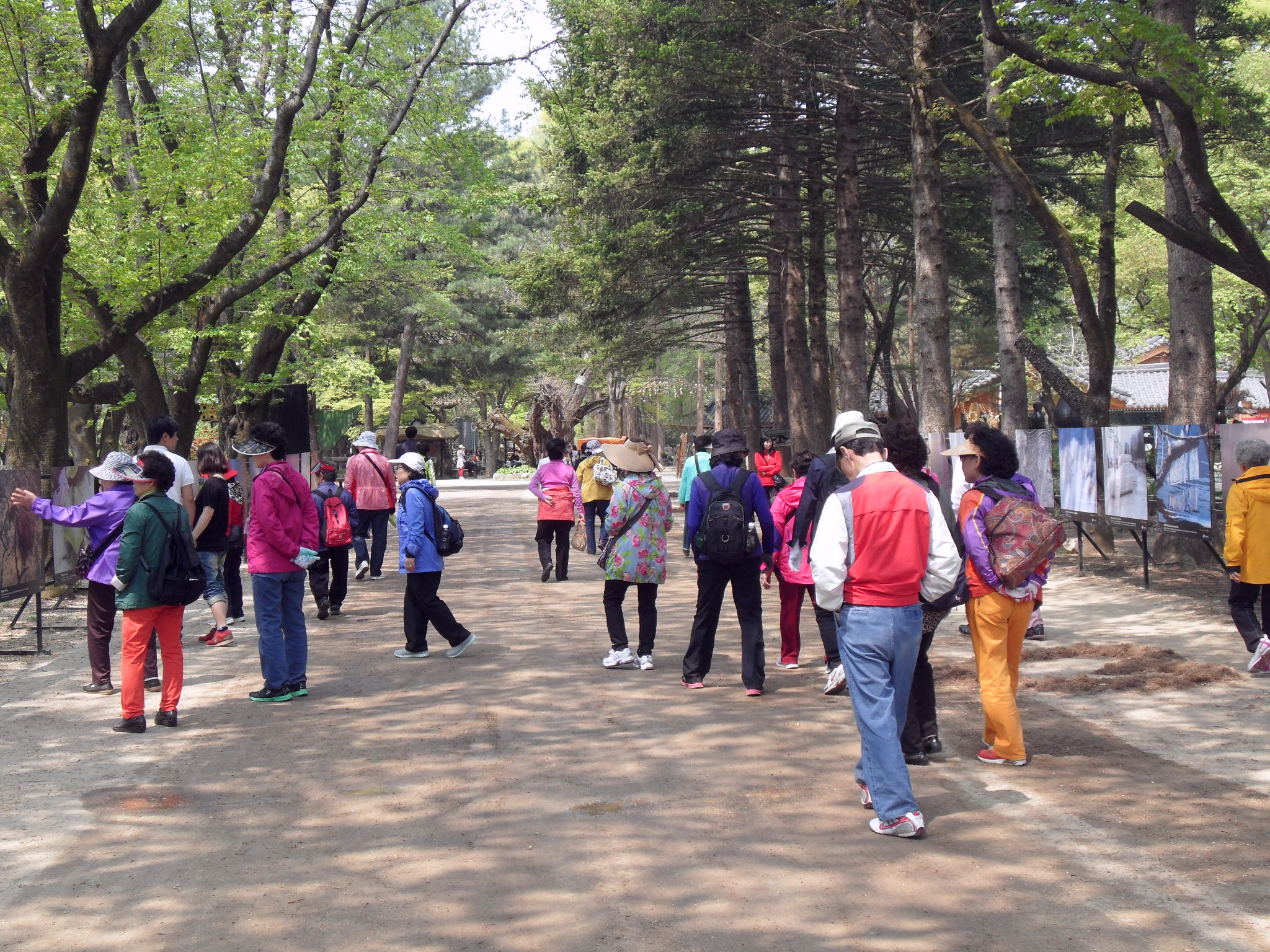 SDC17811.JPG 이미지