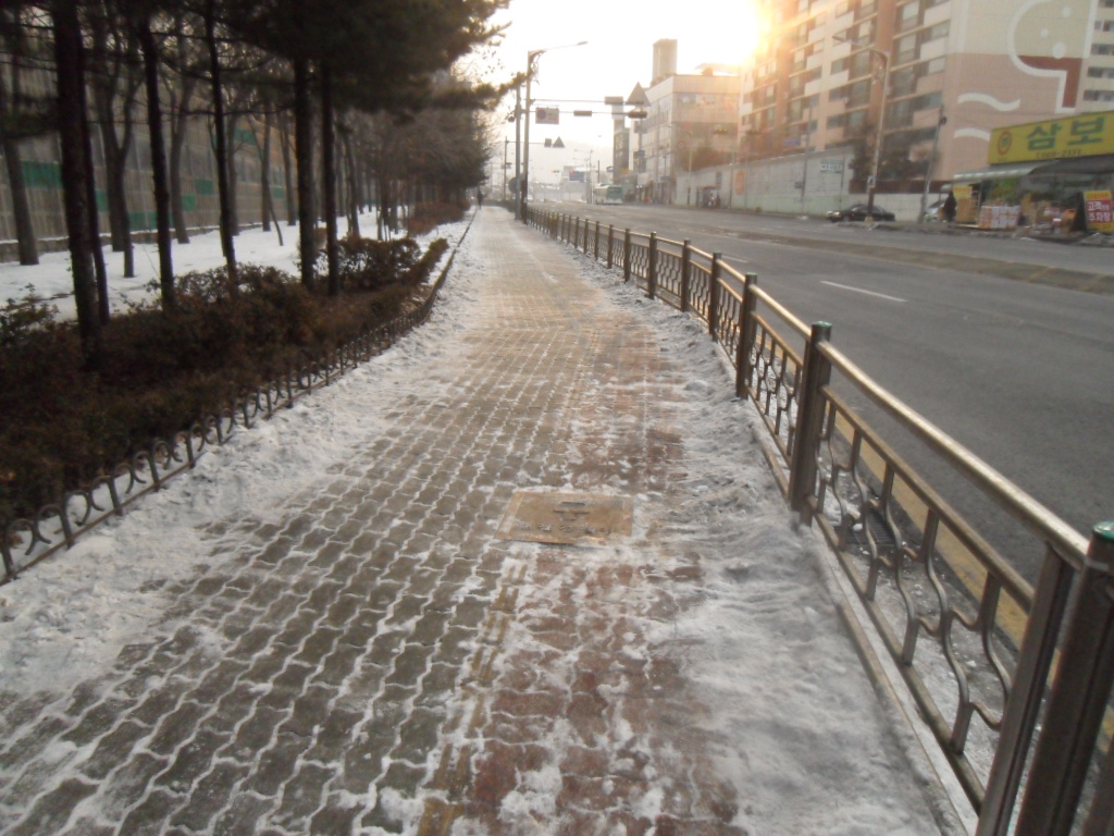SDC17356.JPG 이미지