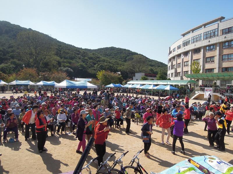2013 제8회 황화산골 들판축제 사진