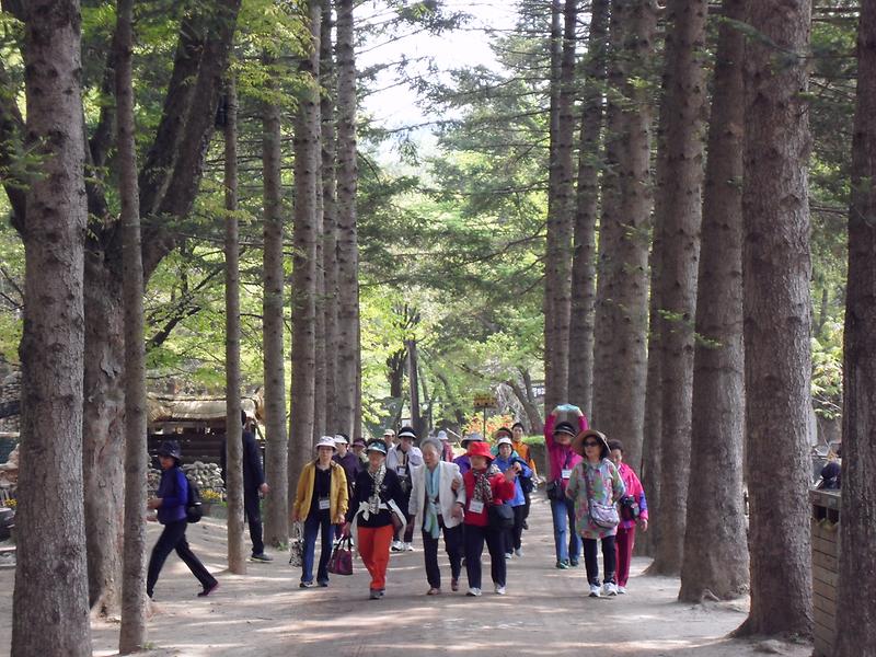 검단2동 2013년 어르신 문화체험단 체험활동 사진