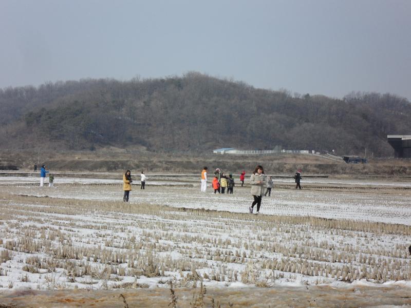 2013년 척사대회 개최 사진