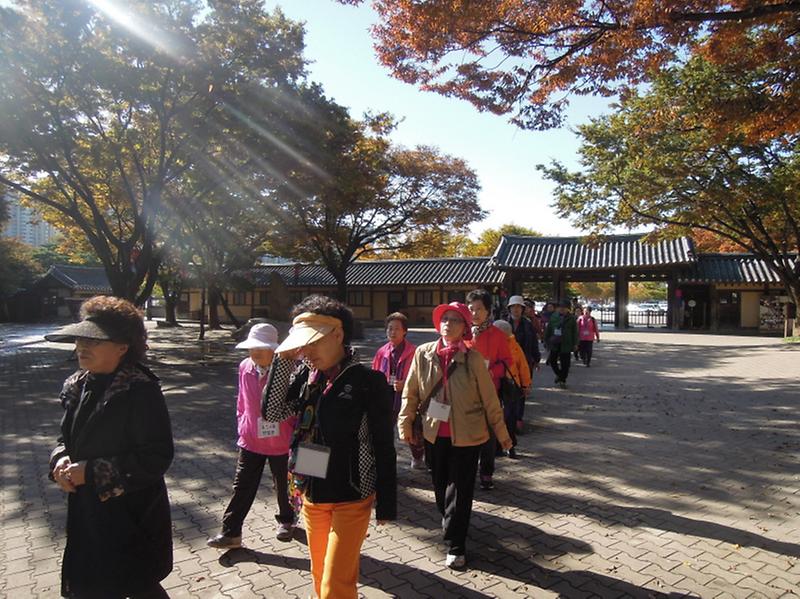 2013 어르신 문화체험단 사진