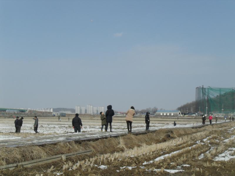 2013년 척사대회 개최 사진