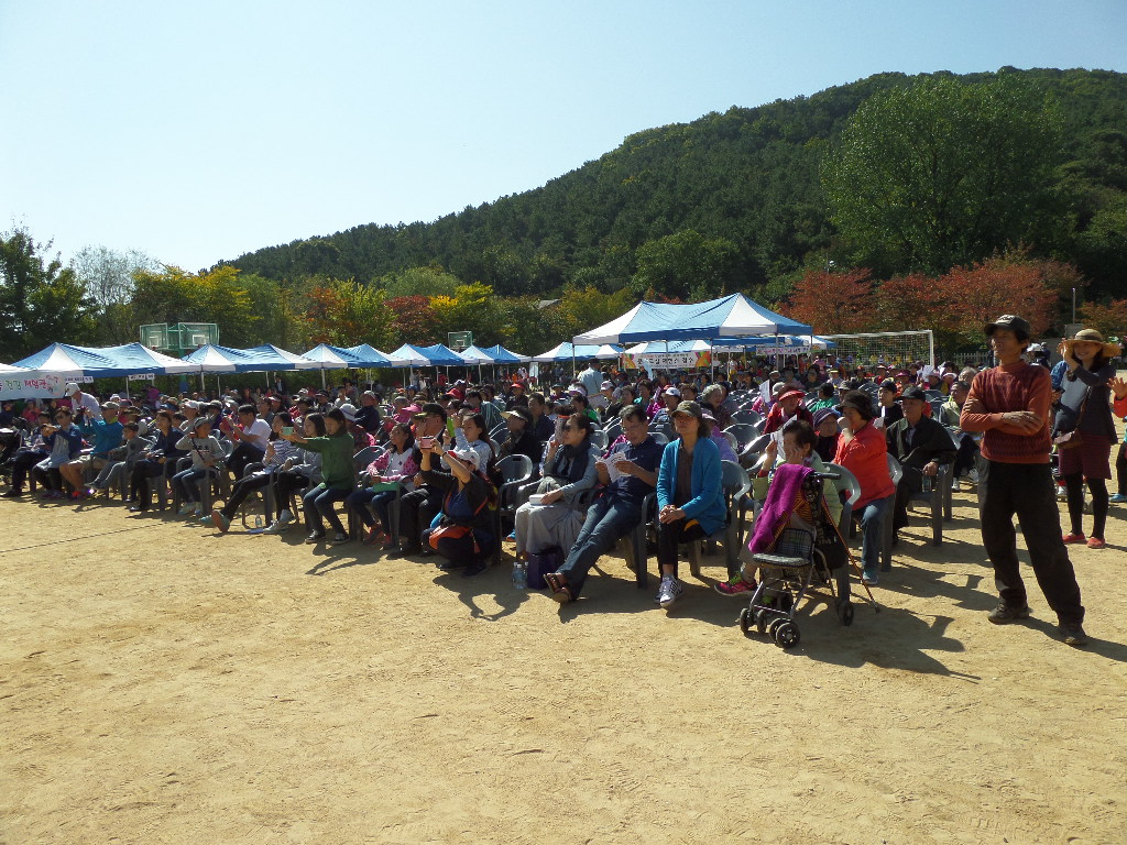 SAM_1104.JPG 이미지