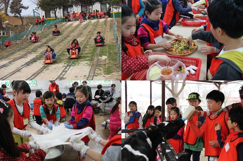 파주 치즈스쿨 체험학습 사진