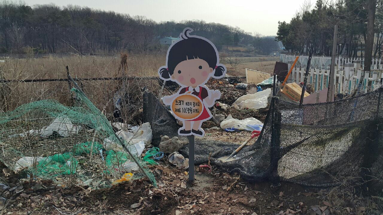 5.jpg 이미지