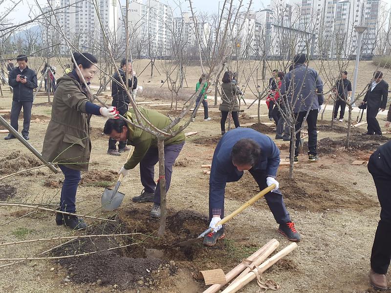 2015년 식목일 나무심기 행사 사진