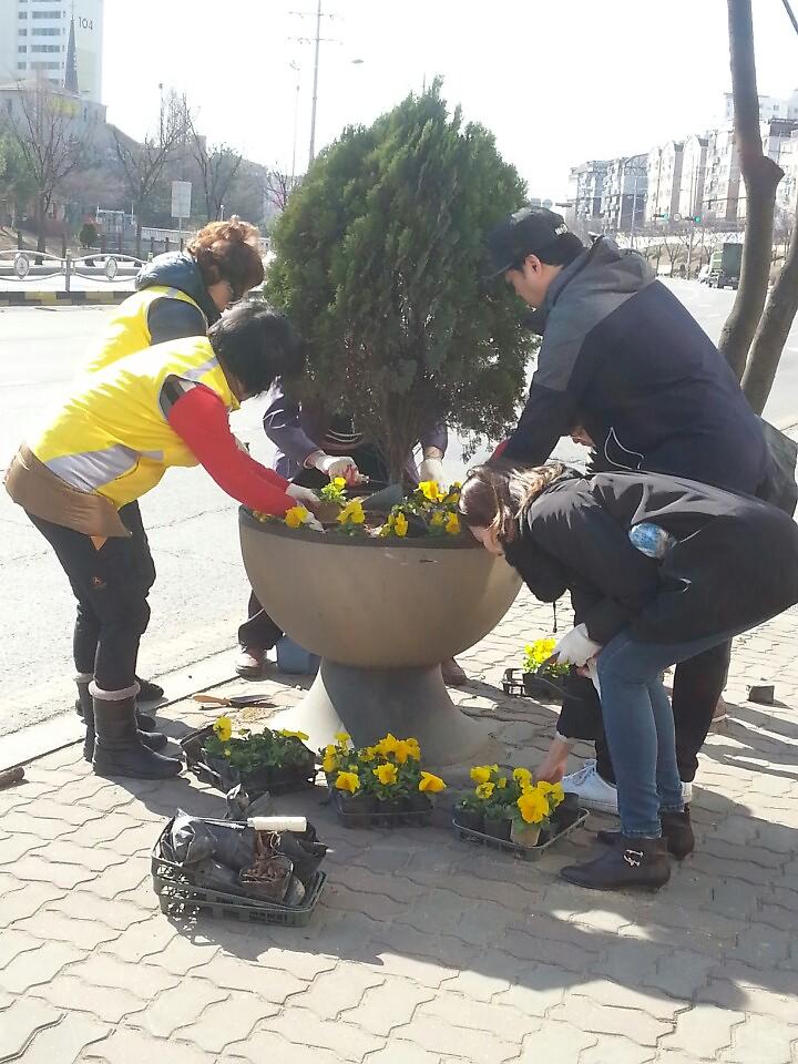 관내 도로화분 초화류 식재 행사 사진