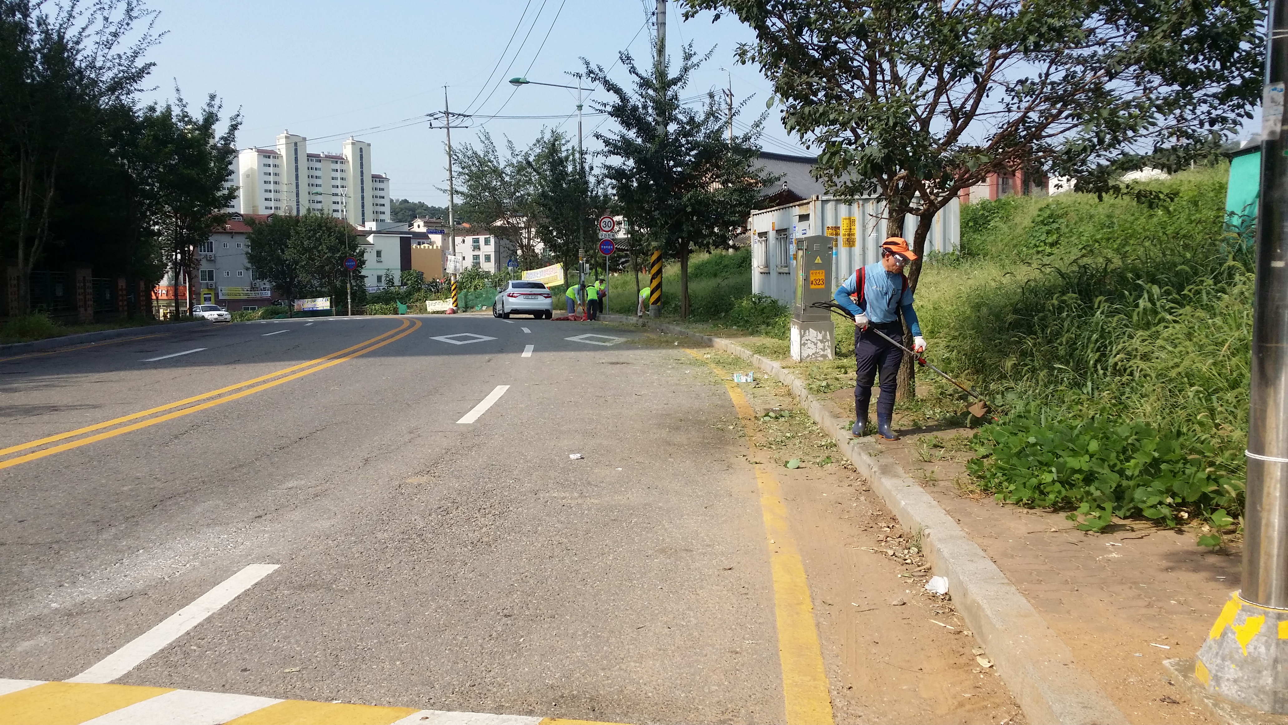 잡초제거1.jpg 이미지