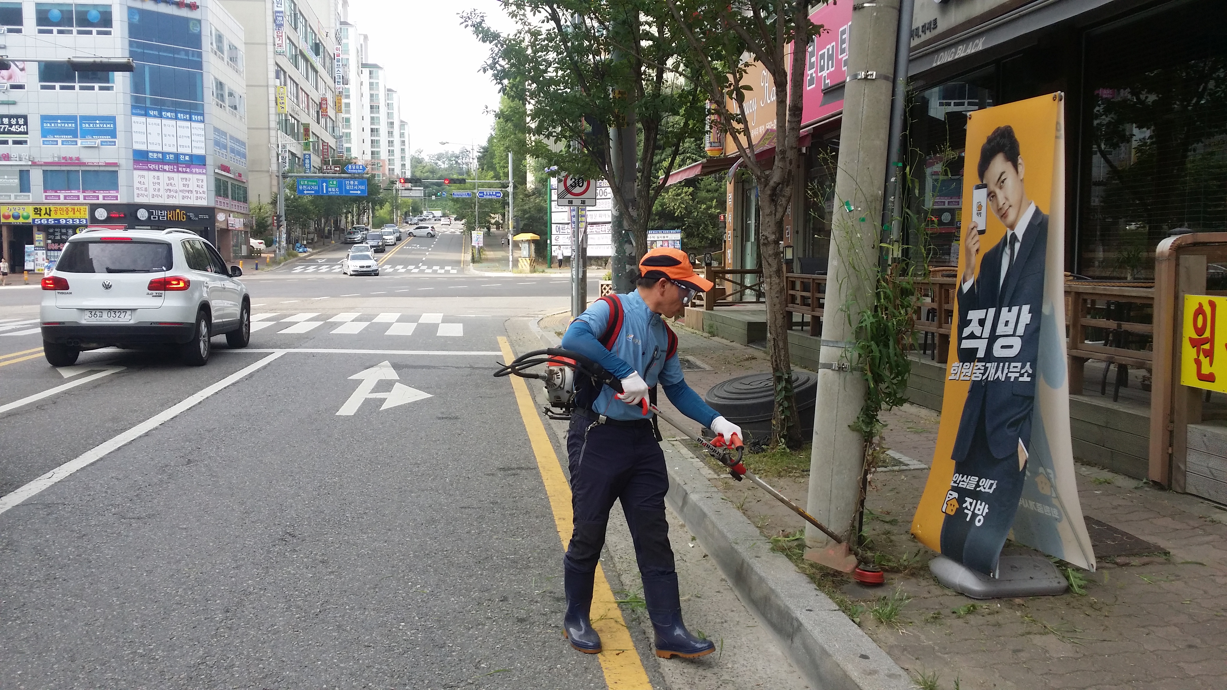 잡초제거3.jpg 이미지