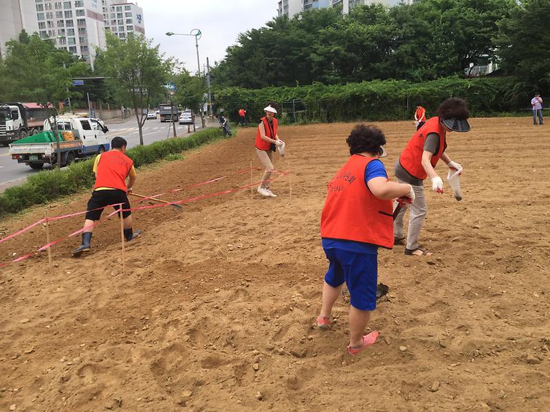 아름다운 꽃밭만들기 사업 추진 사진