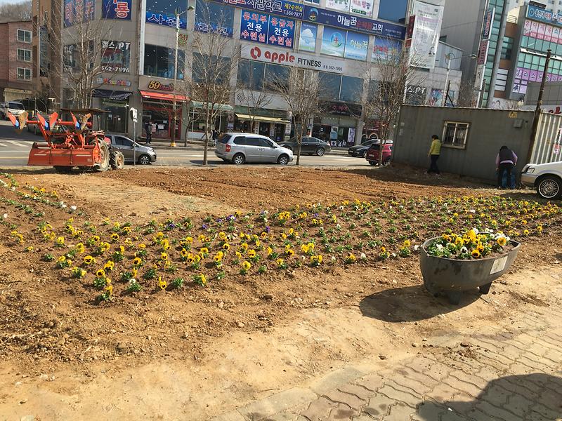 검단2동 주민자치위원회 꽃밭 조성 사진
