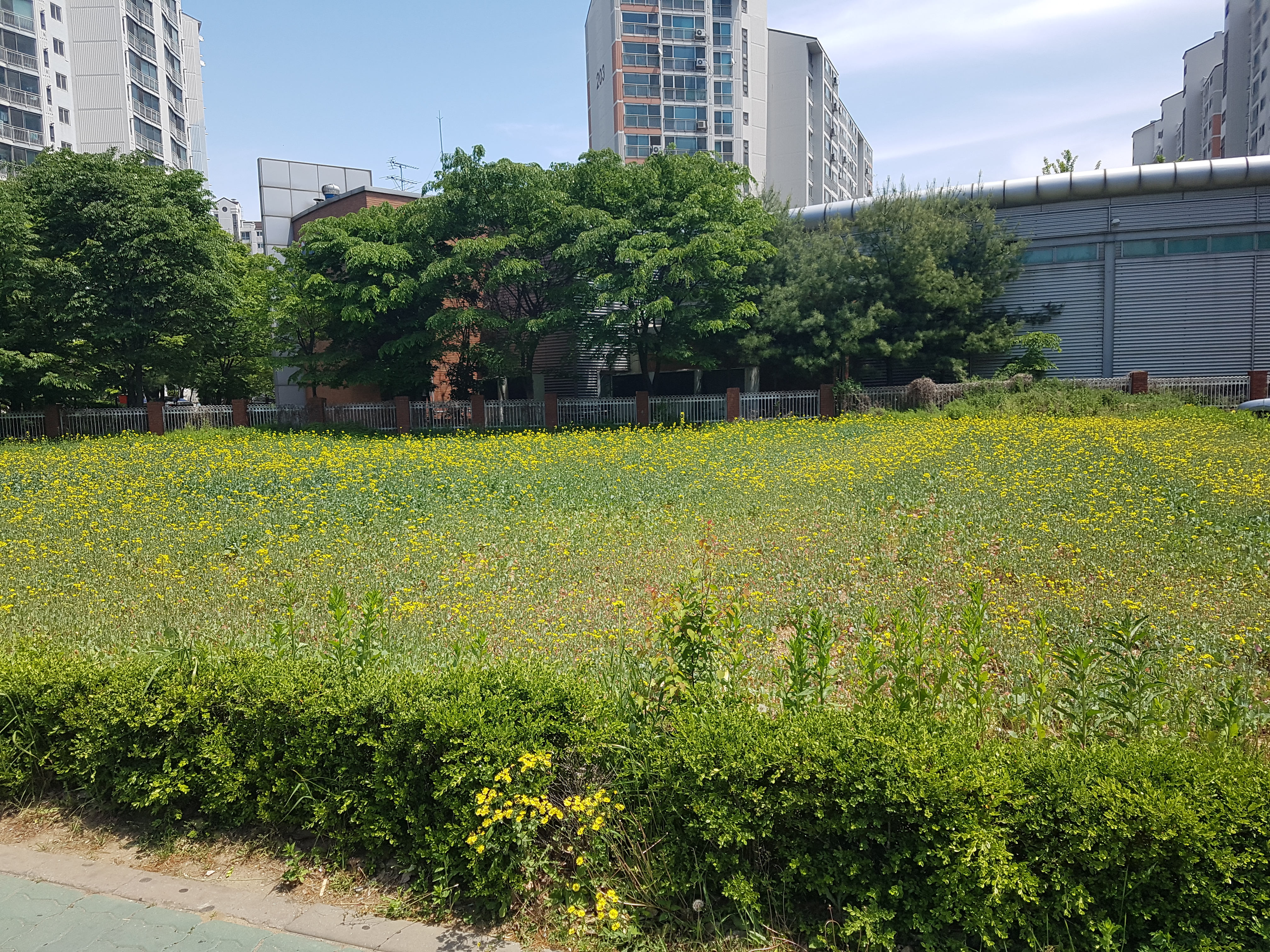 20170516_122927.jpg 이미지