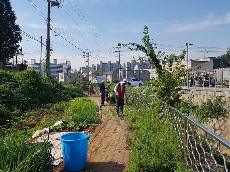 검단3동 관내 잡초제거 작업 실시(1일차) 사진