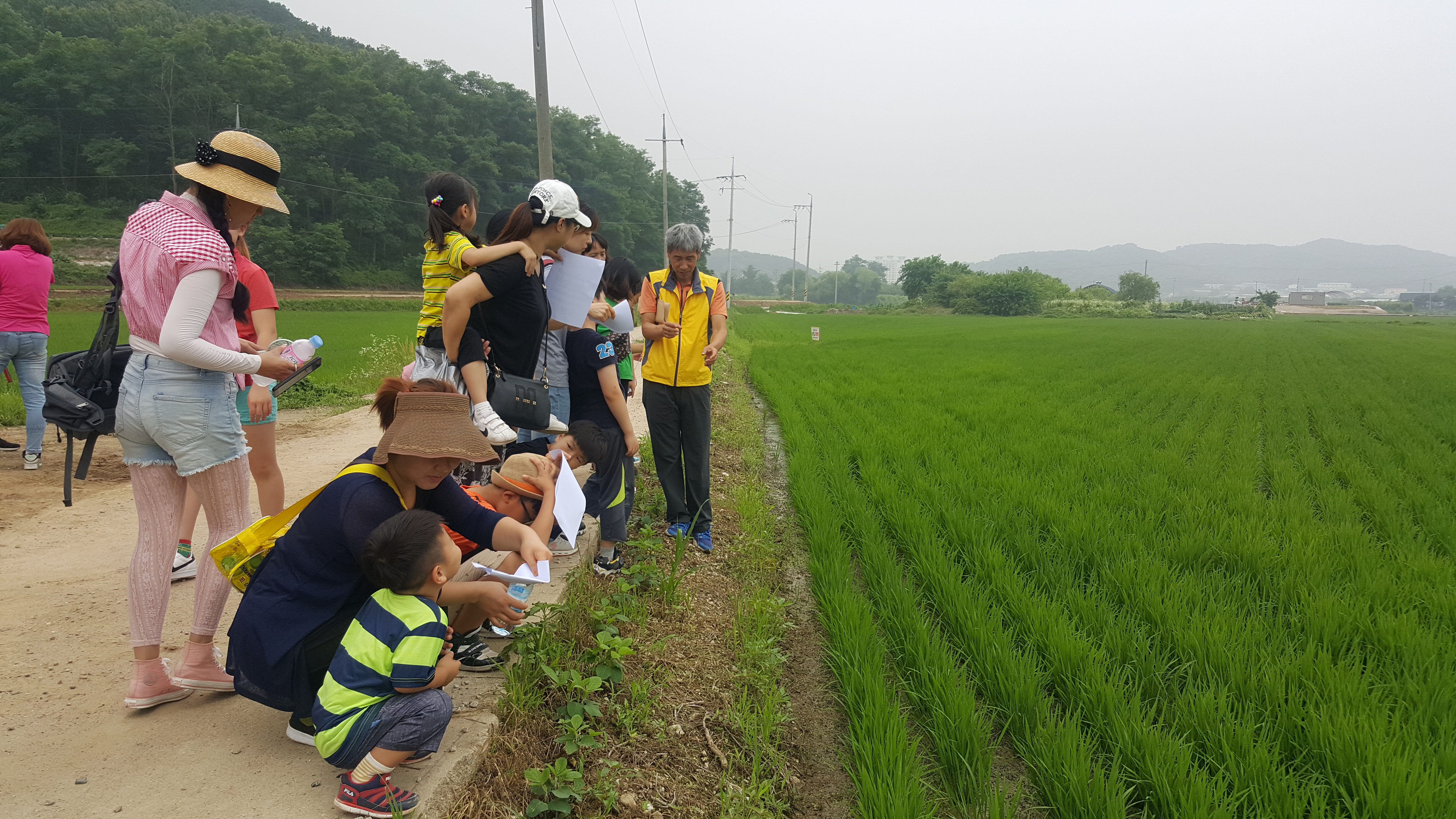 20180630_100446.jpg 이미지