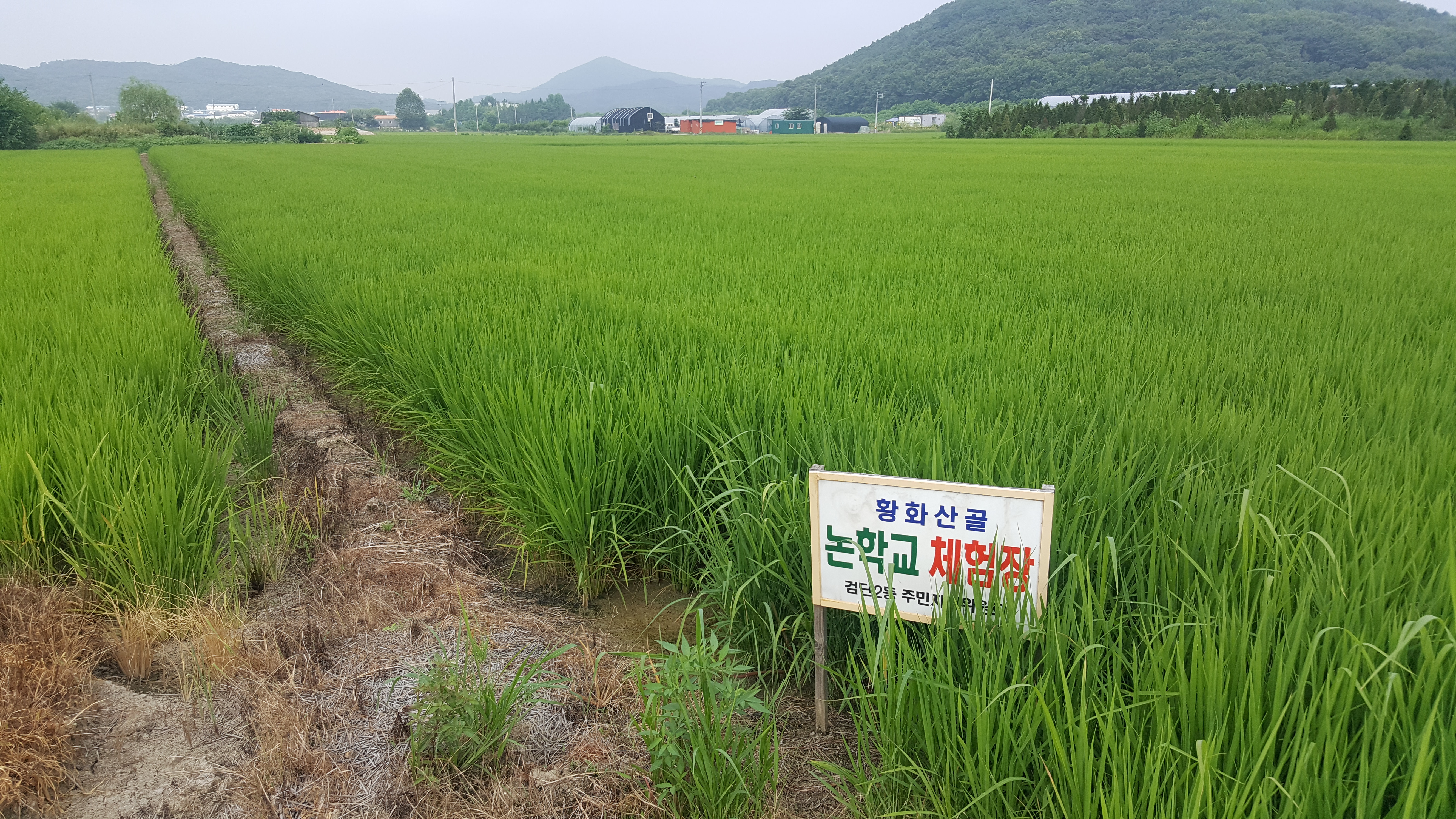 20180728_092038.jpg 이미지