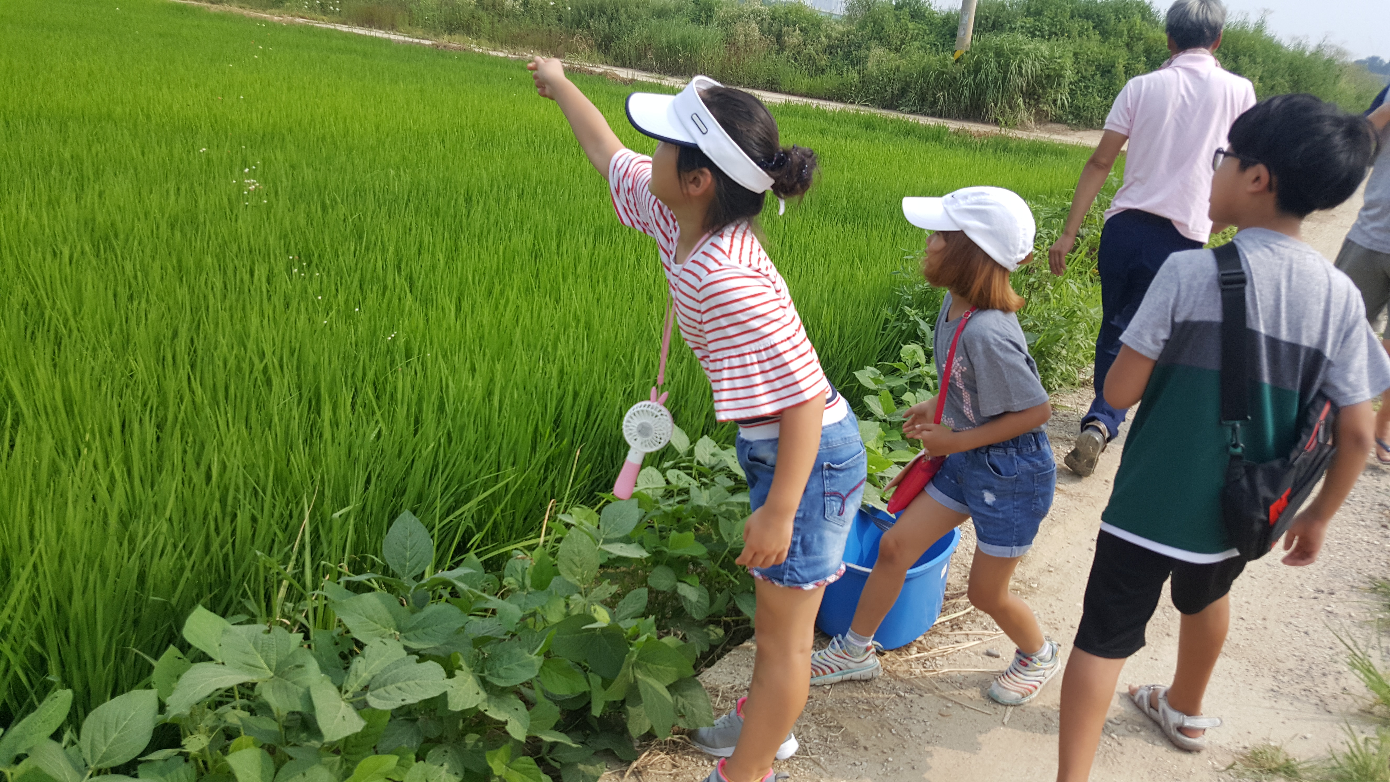 20180728_094130.jpg 이미지