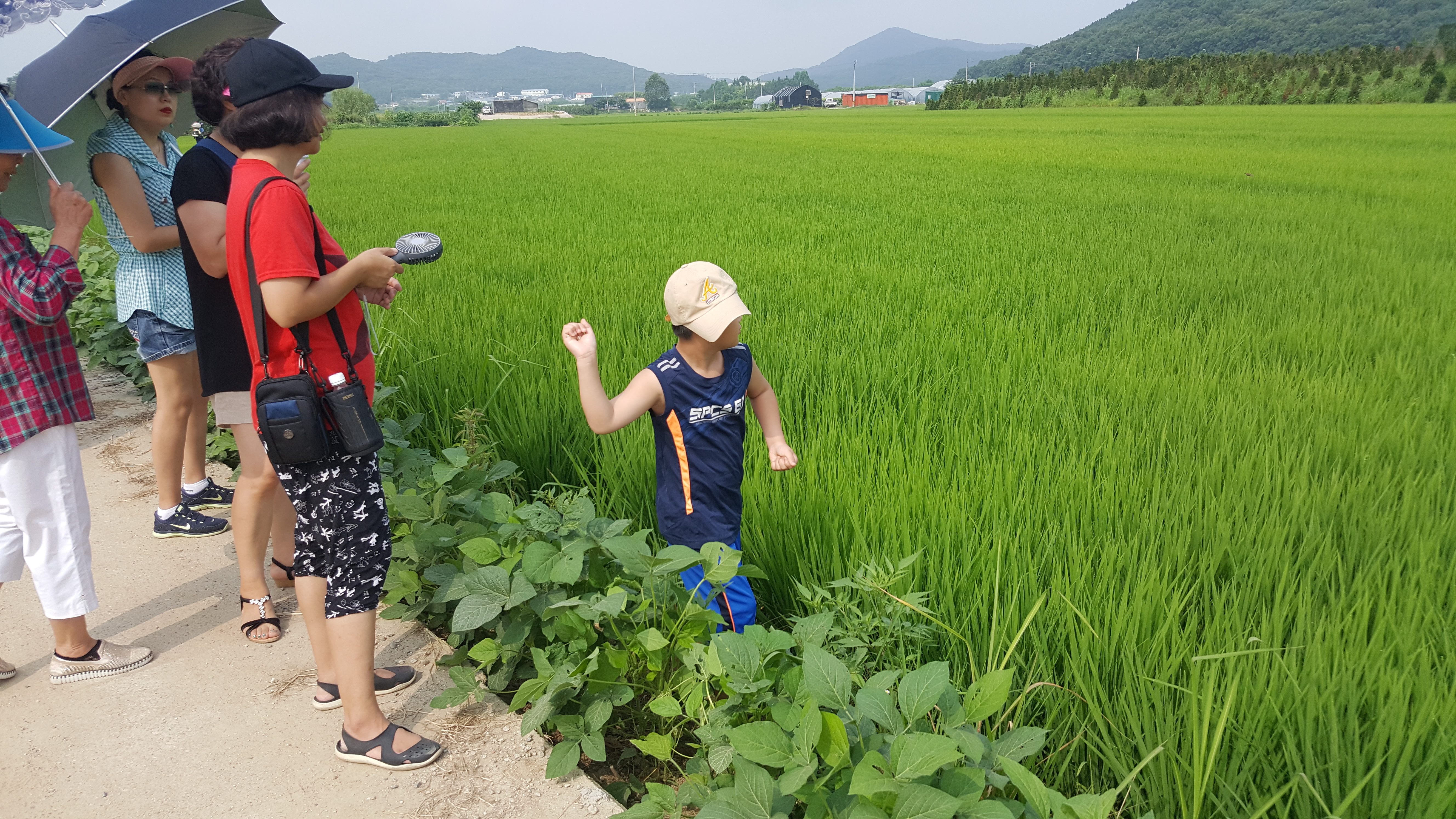 20180728_094138.jpg 이미지