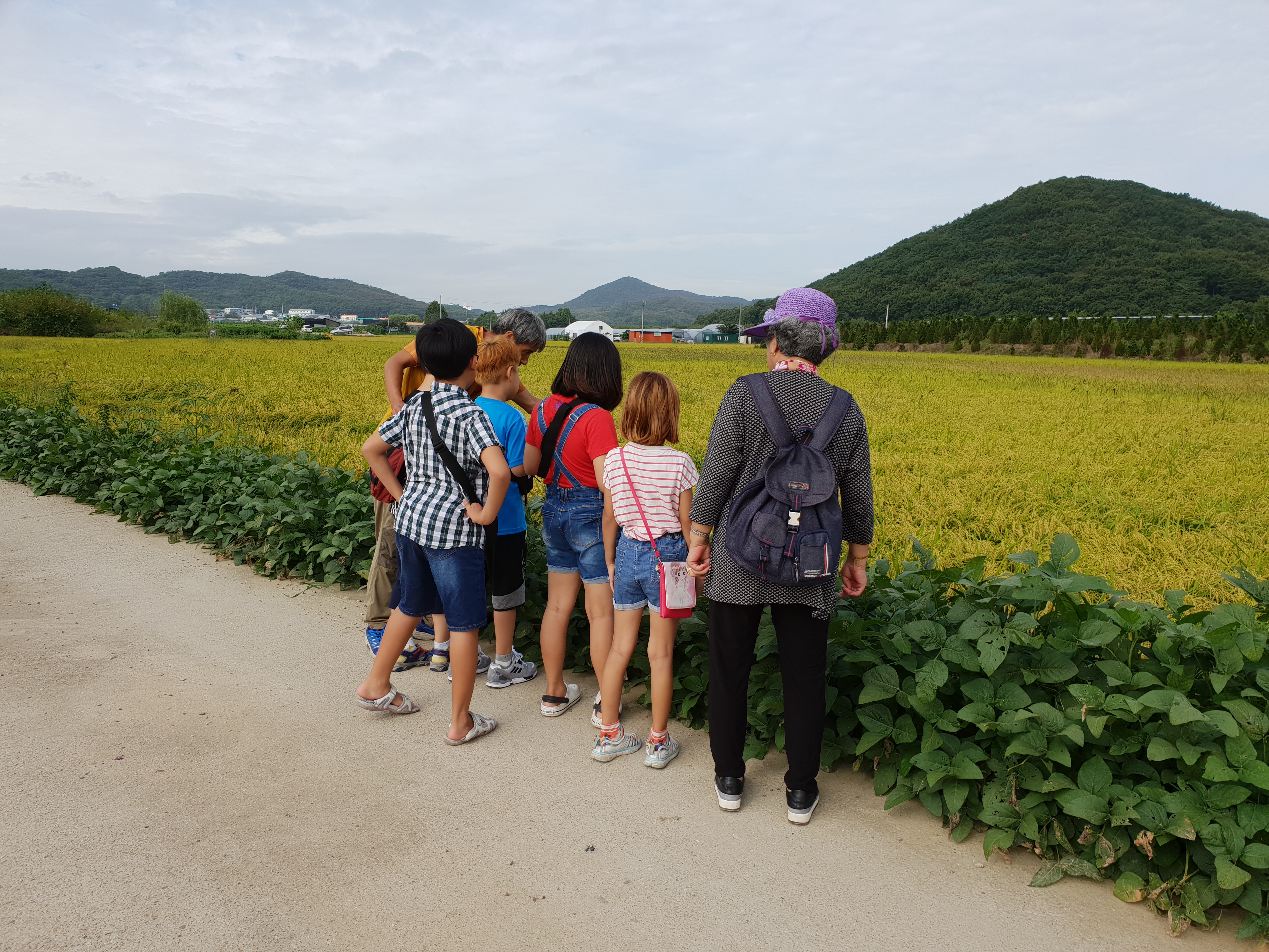 20180915_092917.jpg 이미지