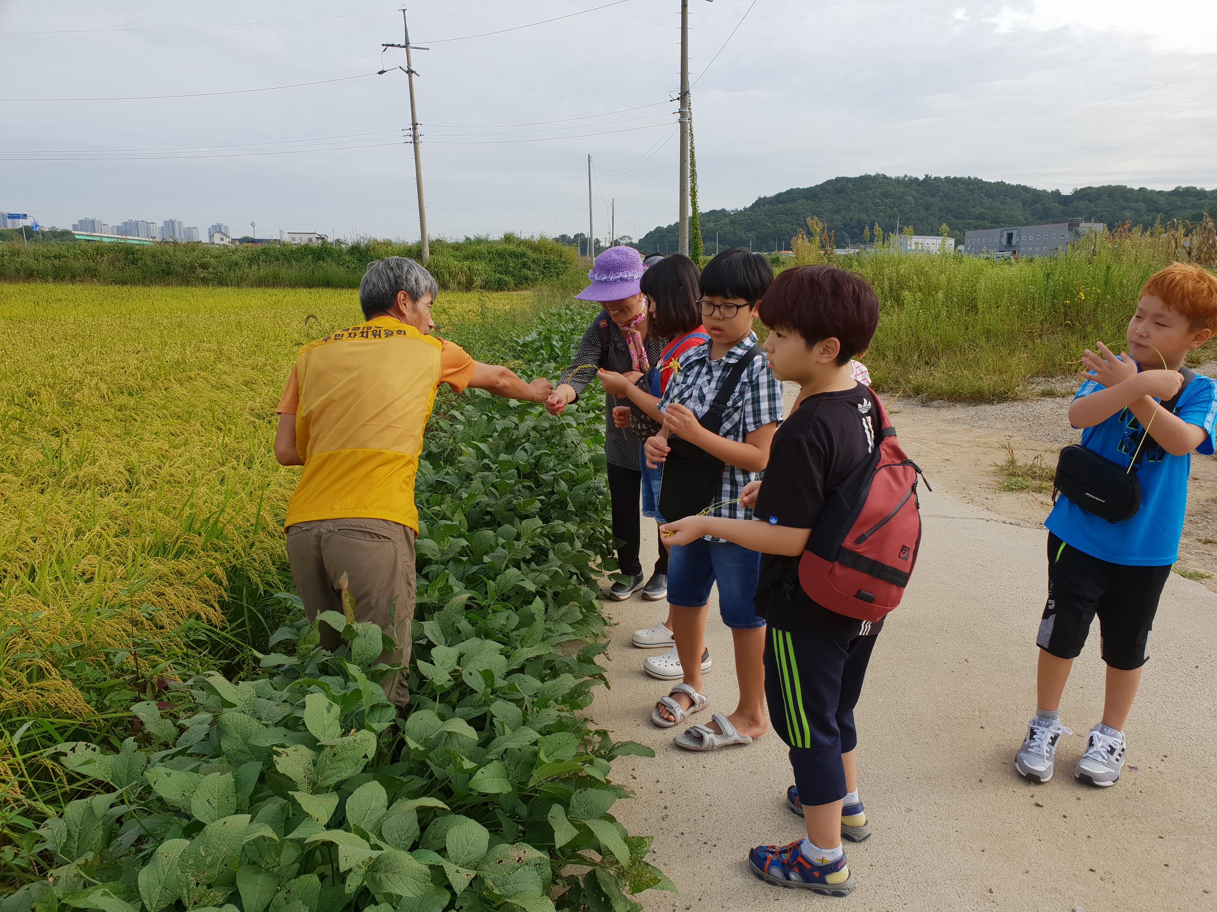 20180915_092957.jpg 이미지