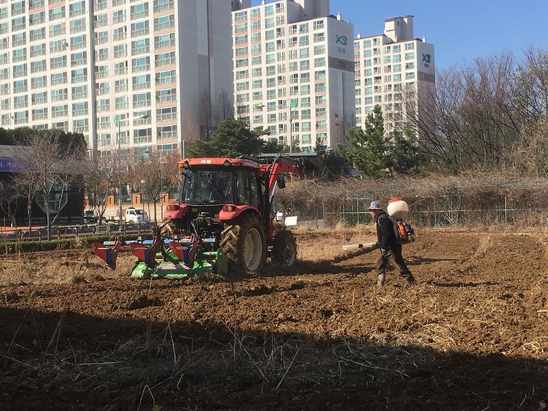 2018년 원당꽃마을 가꾸기 초화 식재 작업 사진