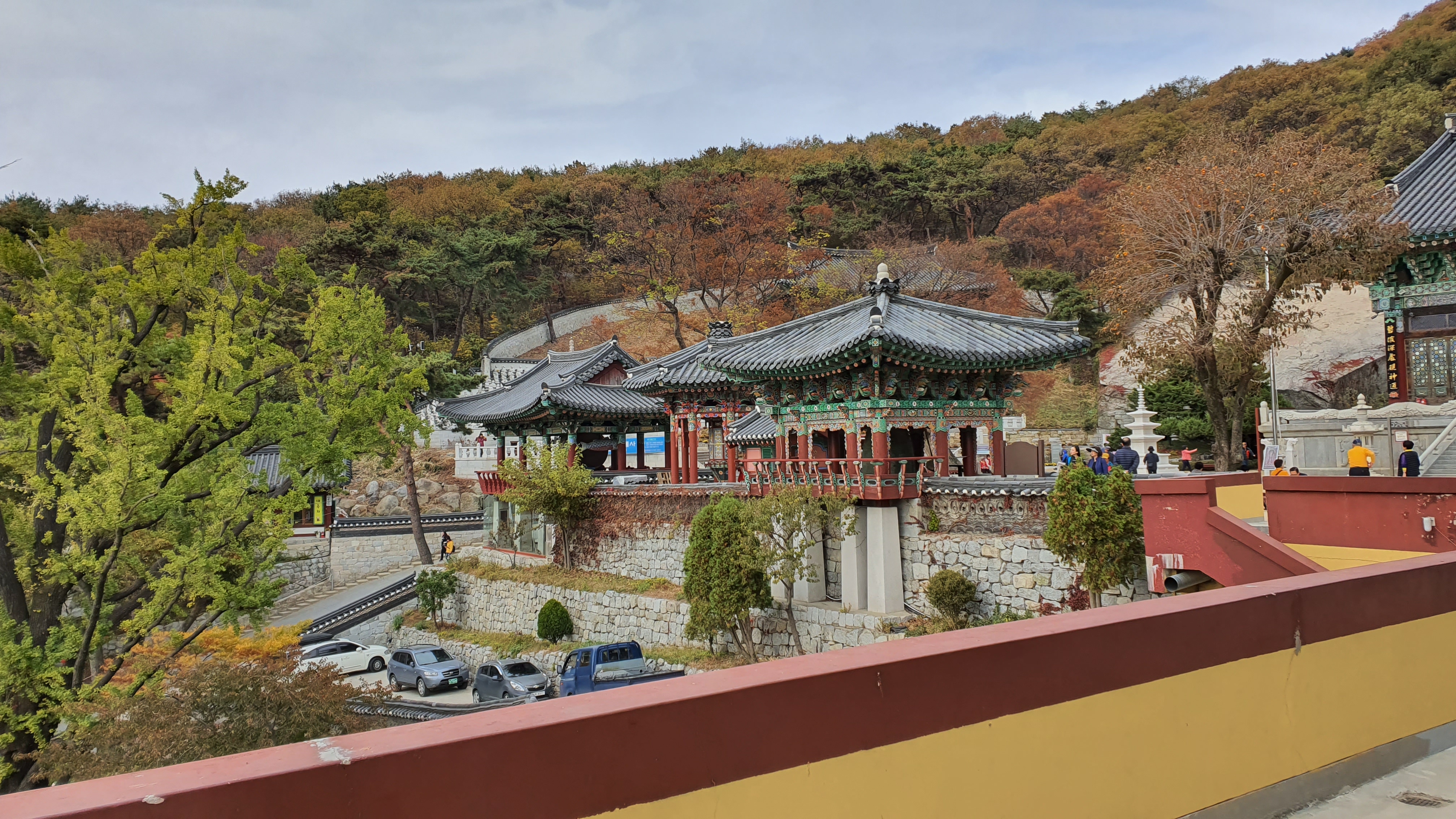 20191106_142456.jpg 이미지