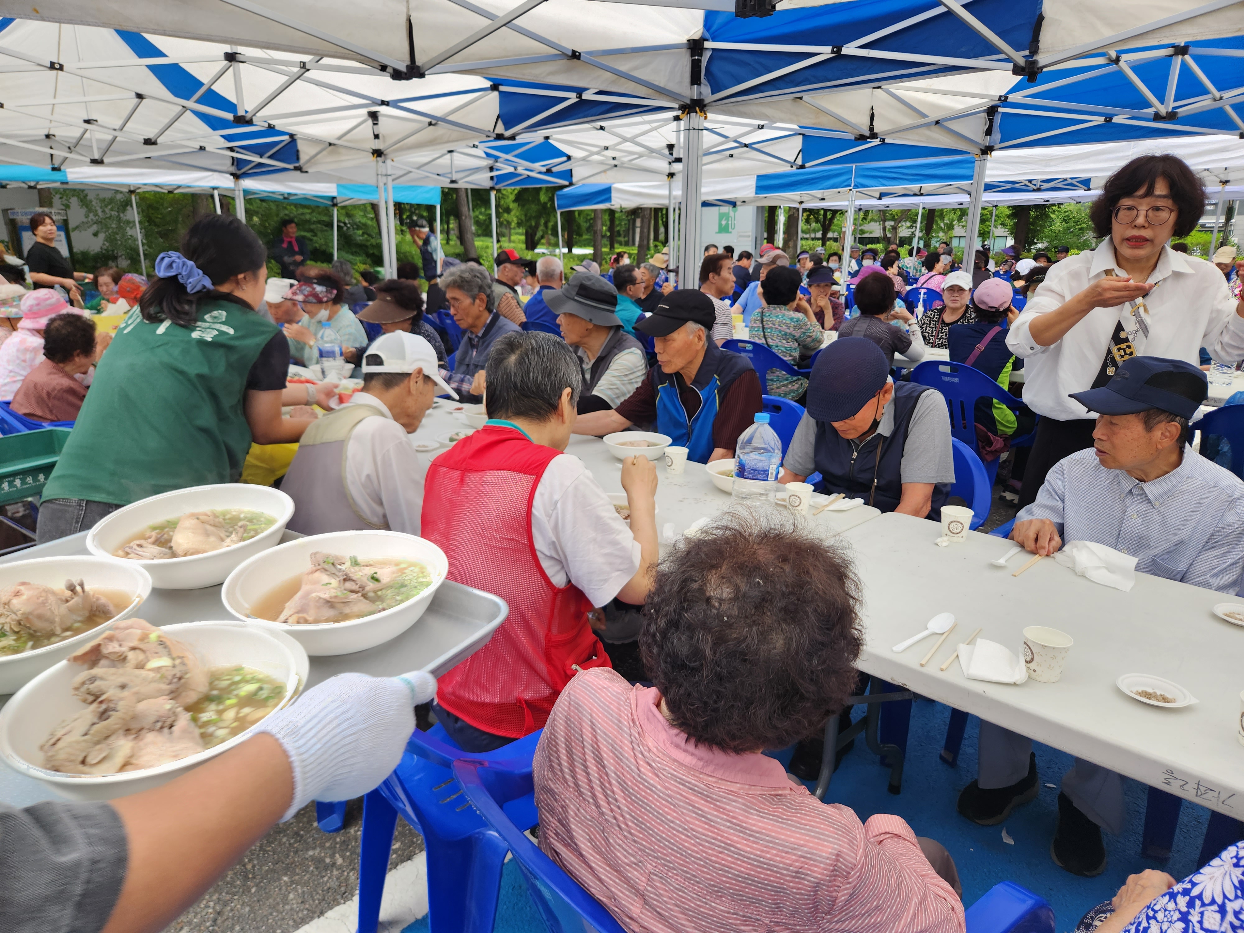 삼계탕서빙.jpg 이미지