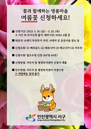 홍보물