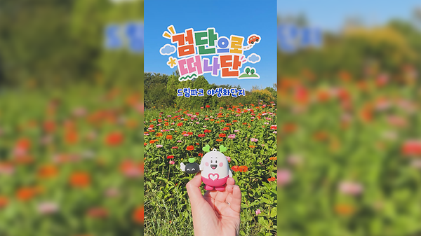 [검단으로 떠나단🚗] 인천 검단 드림파크 야생화단지 사진